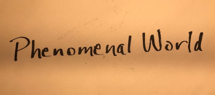 Shutterbug makes a&nbsp;break…