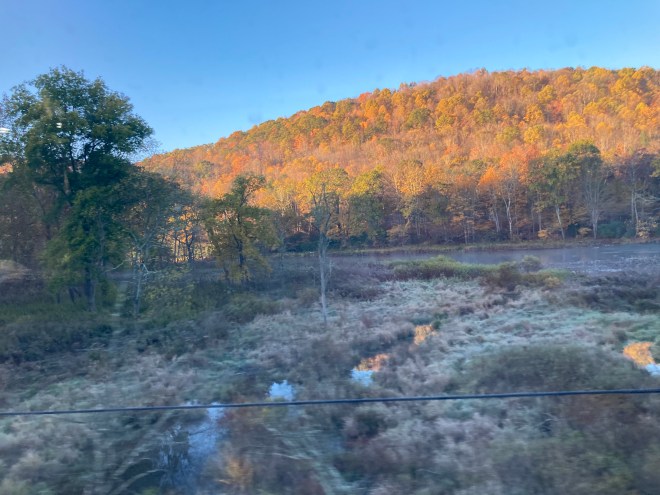 Beyond shadowed stream, sun strikes colorful hillside