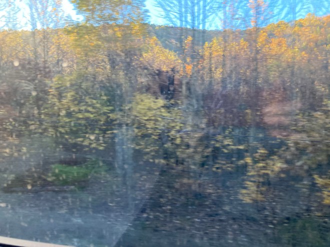 Stream and woodland blurred by passage of train, window reflection