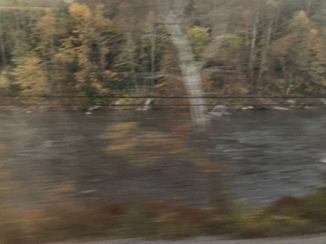 Stream and woodland blurred by passage of train